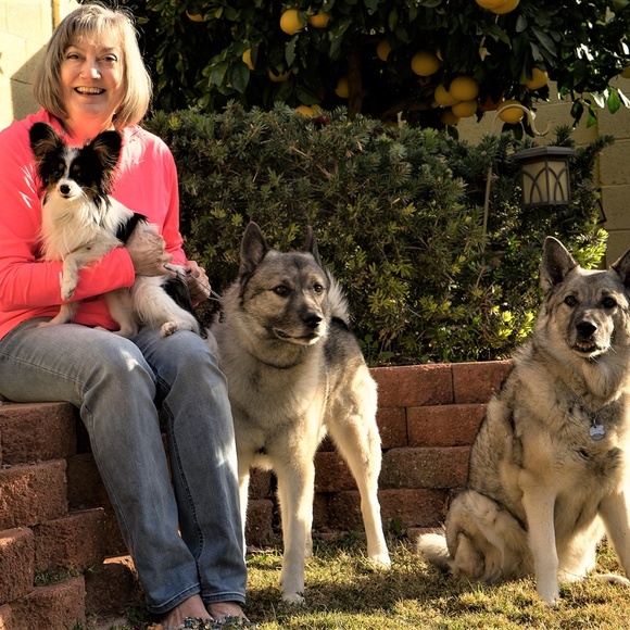 Meet your Posher, Darcy - Picture 4 of 6